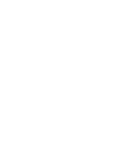 cv expert en référencement naturel SEO 