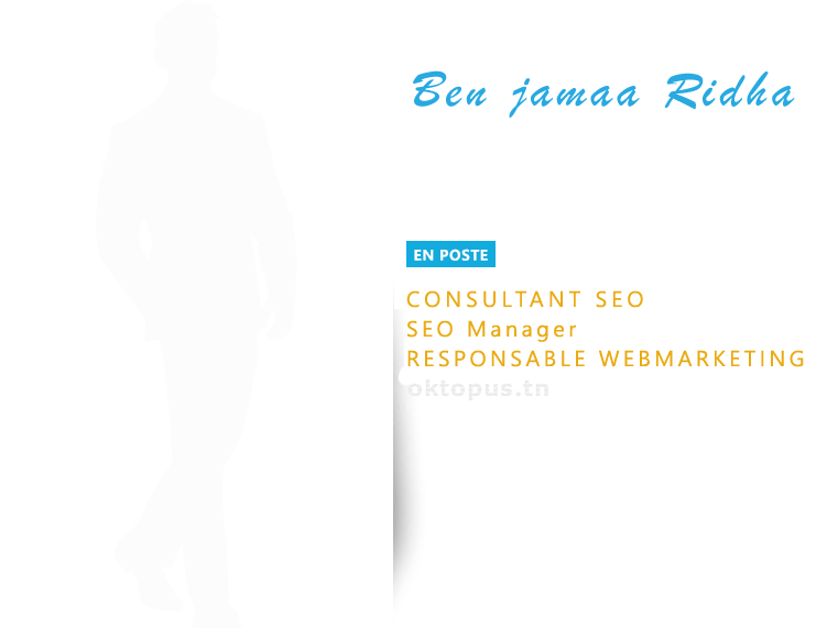 Consultant en référencement naturel SEO Tunisie